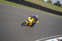 Lower Group Yellow Bikes
